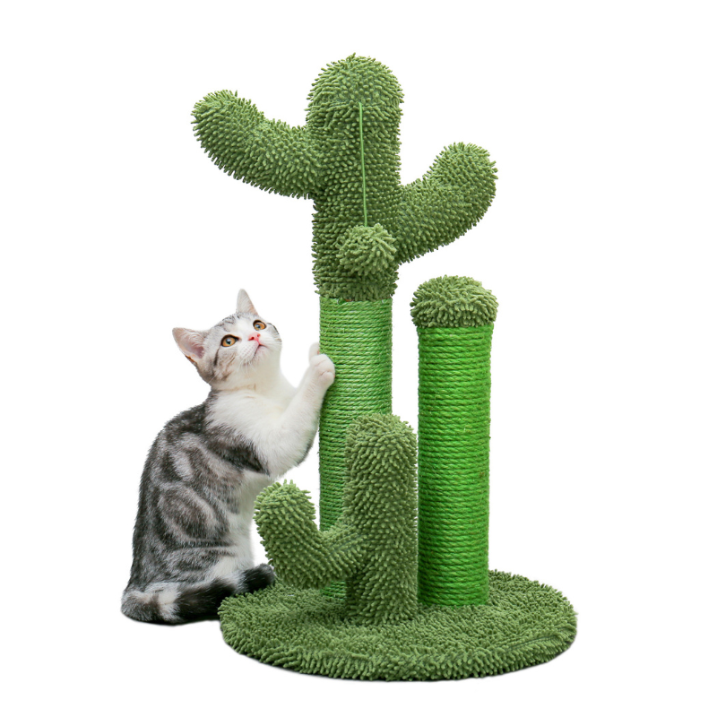 Griffoir Cactus pour Chat