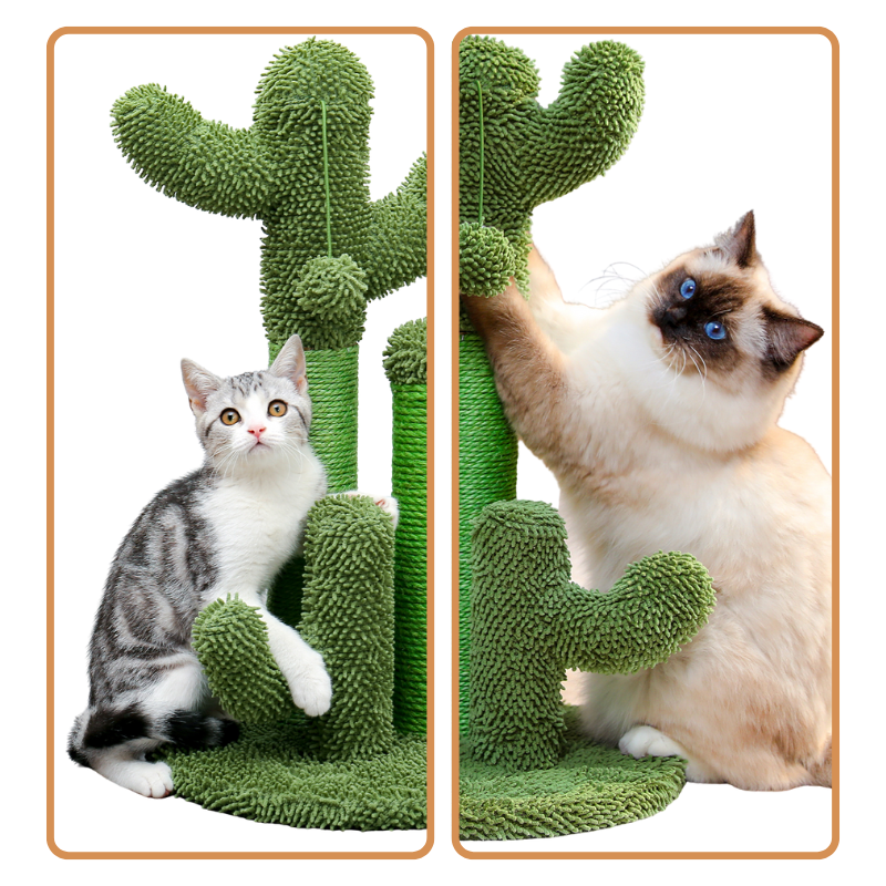 Griffoir Cactus pour Chat