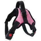 Harnais Chien Resistant