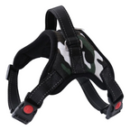 Harnais Chien Resistant