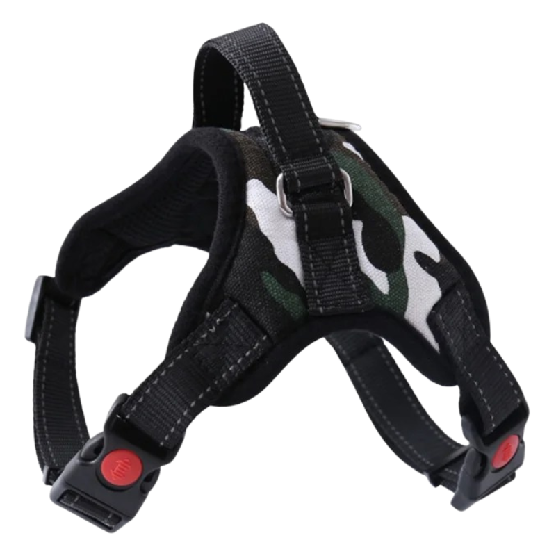Harnais Chien Resistant