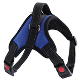 Harnais Chien Resistant