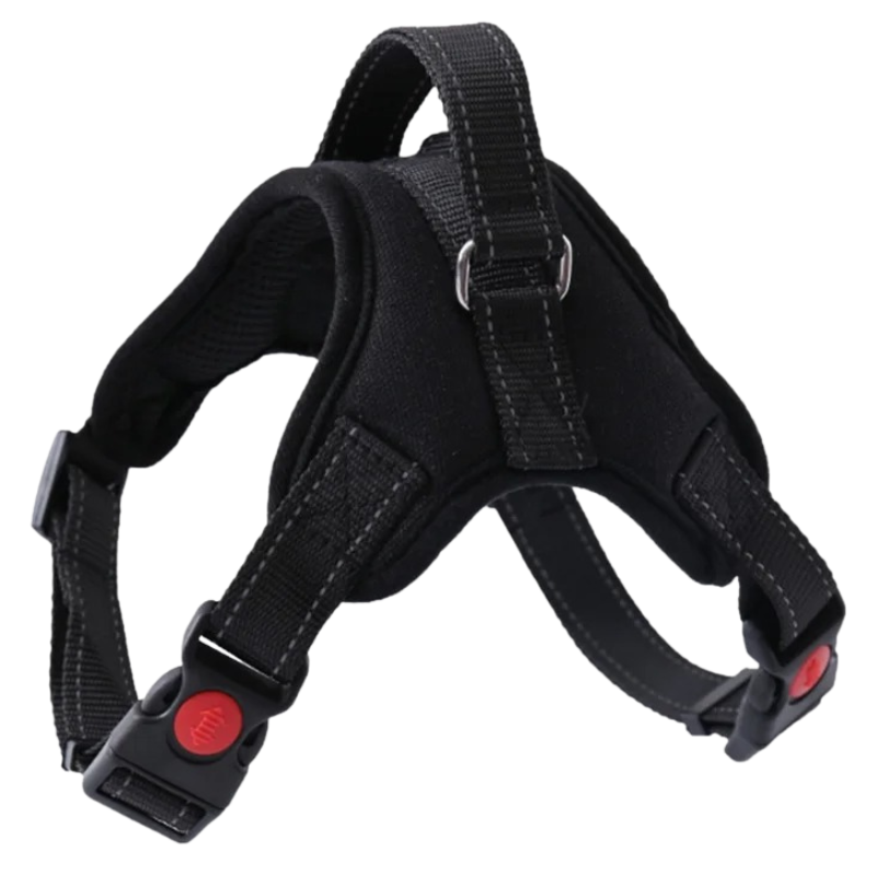 Harnais Chien Resistant
