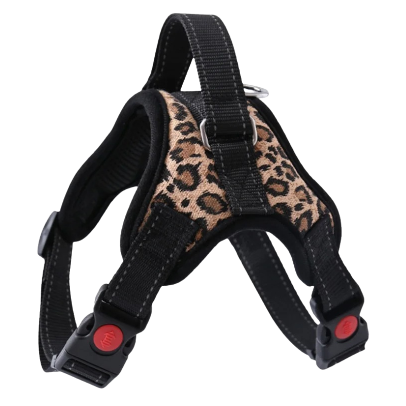 Harnais Chien Resistant