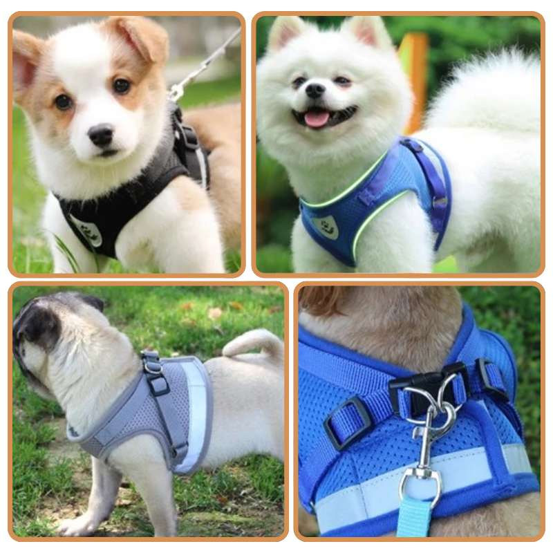 Harnais Pour Chien Et Chat Réglable