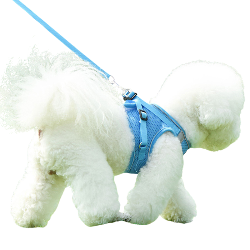 Harnais Pour Chien Et Chat Réglable