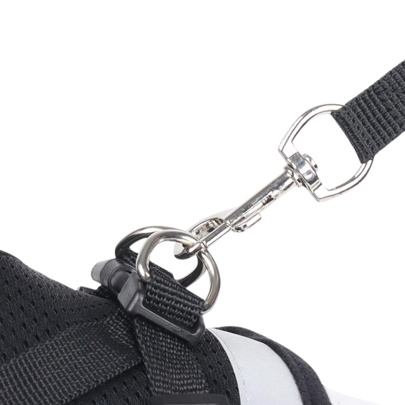 Harnais Pour Chien Et Chat Réglable