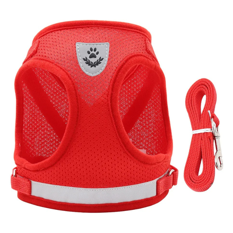 Harnais Pour Chien Et Chat Réglable