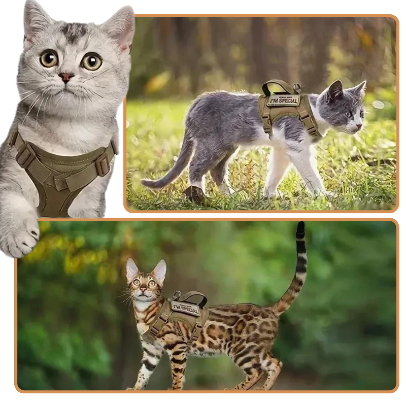 Harnais Tactique Anti-Fugue pour Chien et Chat