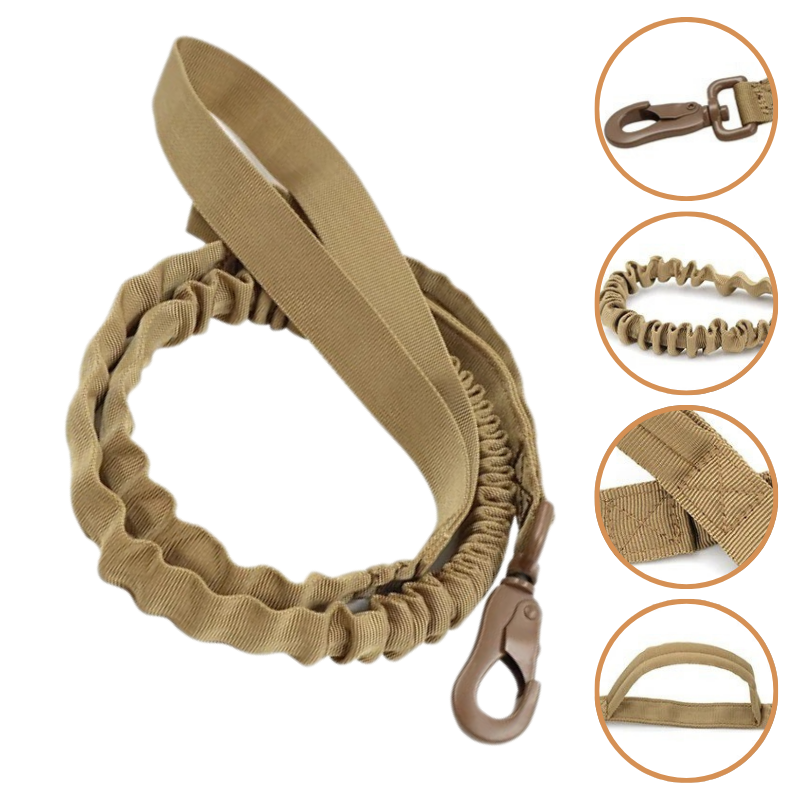 Harnais Tactique Anti-Fugue pour Chien et Chat