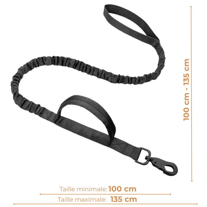 Harnais Tactique Anti-Fugue pour Chien et Chat