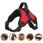 Harnais Chien Resistant