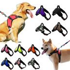Harnais Chien Resistant