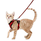 Harnais et Laisse Chat