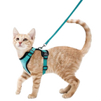 Harnais et Laisse Chat