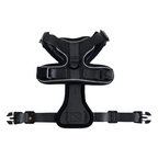 Harnais et Laisse Chat