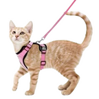 Harnais et Laisse Chat
