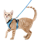 Harnais et Laisse Chat