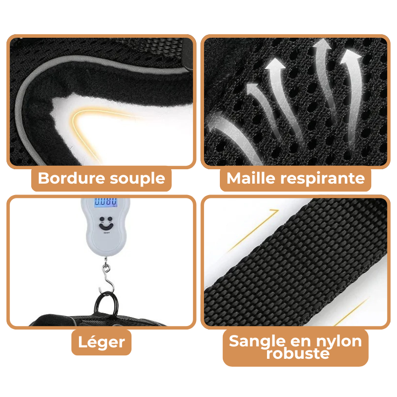 Harnais et Laisse Chat