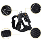 Harnais et Laisse Chat