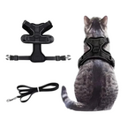 Harnais et Laisse Chat