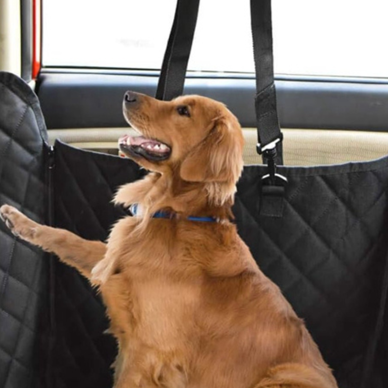 Housse de Voiture Imperméable Pour Chiens