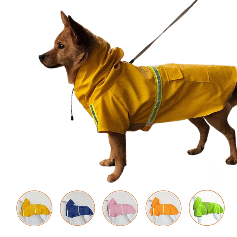 Imperméable Chien à Capuche