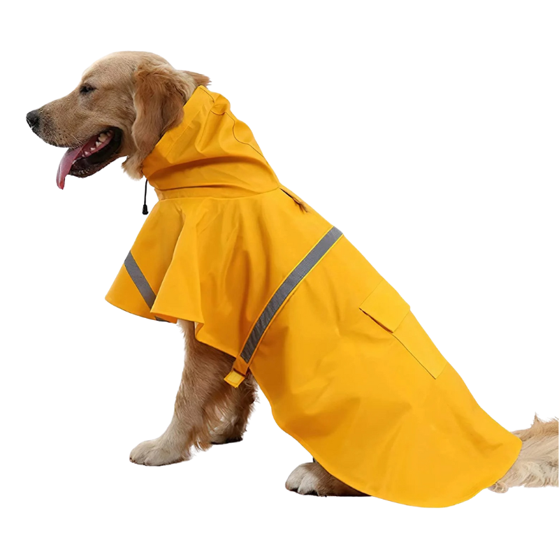 Imperméable Chien à Capuche
