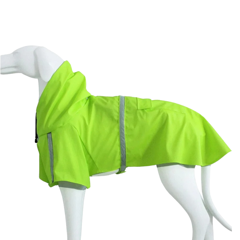 Imperméable Chien à Capuche