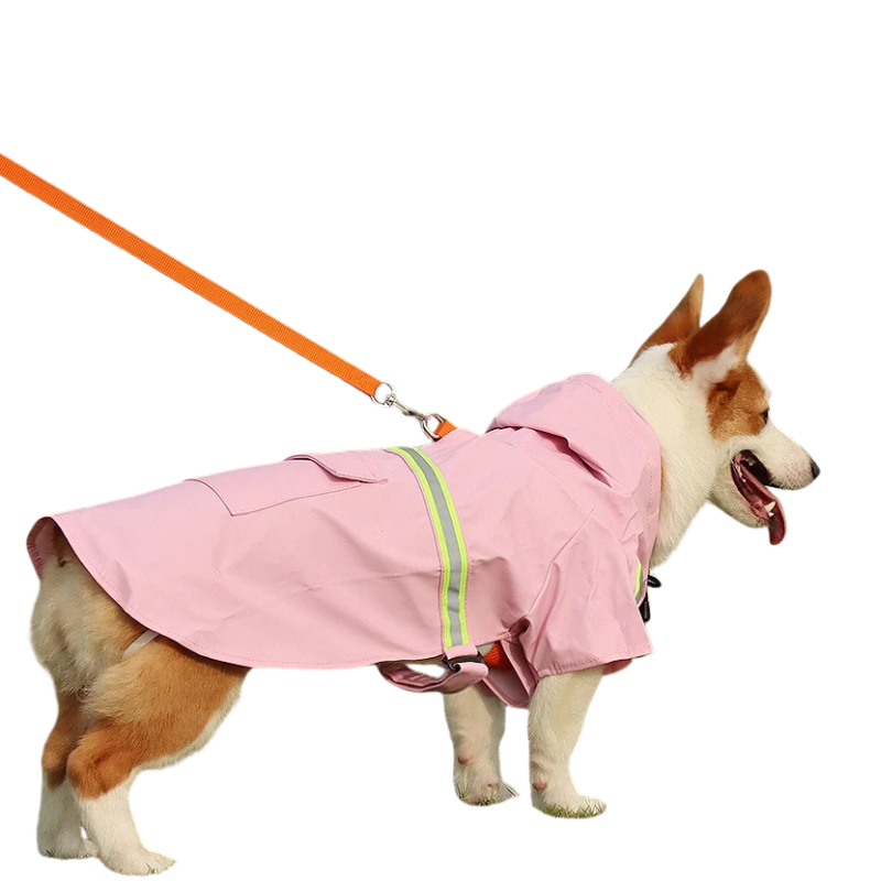 Imperméable Chien à Capuche