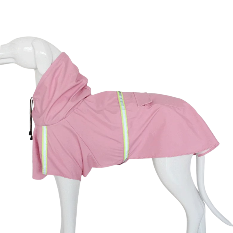 Imperméable Chien à Capuche