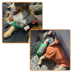 Jouet Bouteille de Bière pour Chien