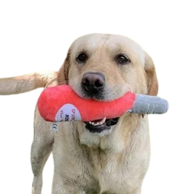 Jouet Bouteille de Bière pour Chien