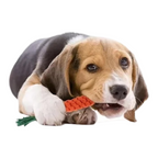Jouet Carotte Chien