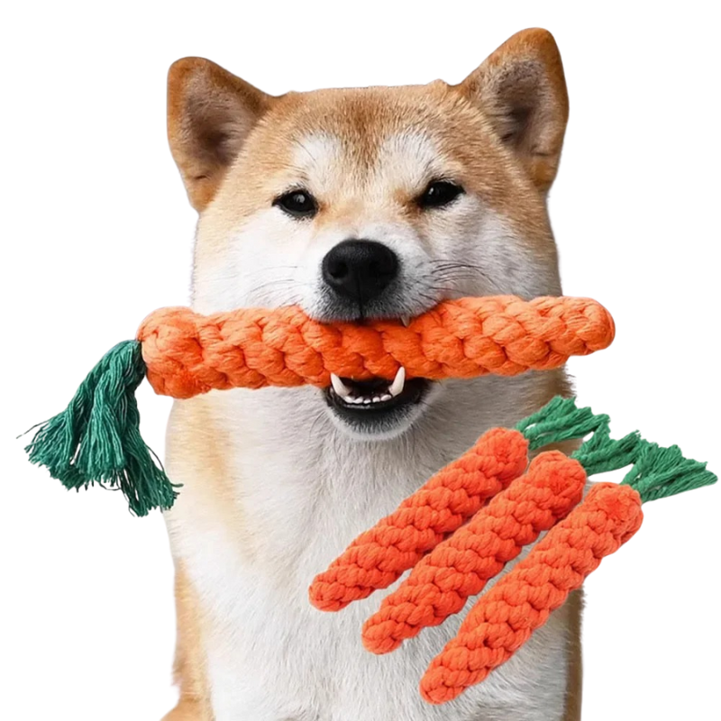 Jouet Carotte Chien