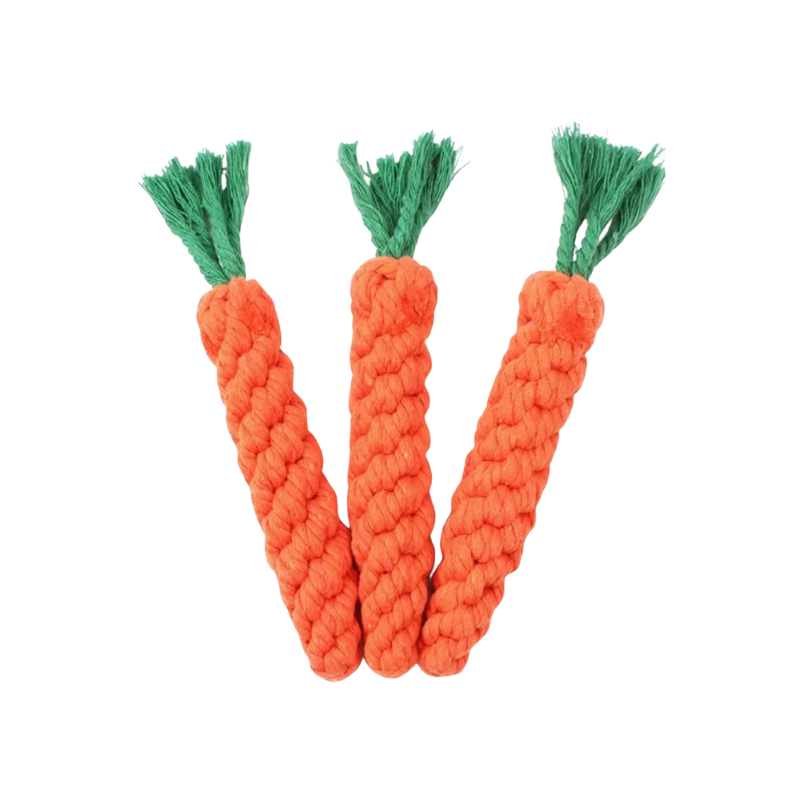 Jouet Carotte Chien