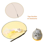 Jouet Chat Plume Avec Base