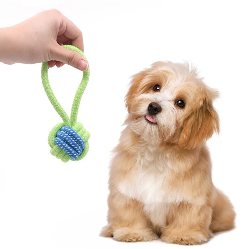 Jouet Corde à Nœuds pour Chien