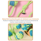 Jouet Corde à Nœuds pour Chien