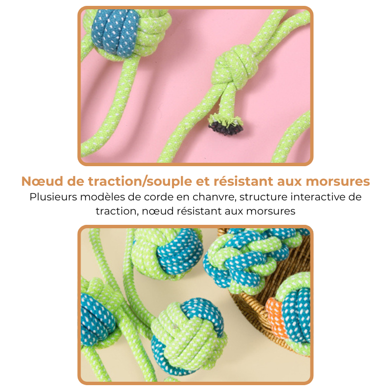 Jouet Corde à Nœuds pour Chien