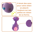 Jouet Couineur En Latex Pour Chien