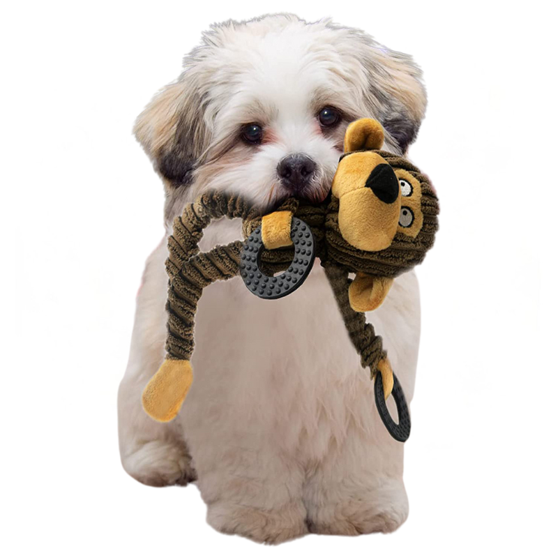 Jouet En Peluche Pour Chien Avec Son