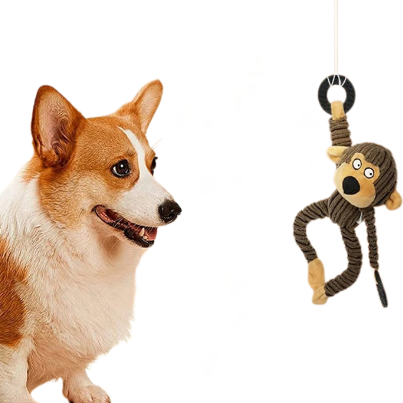 Jouet En Peluche Pour Chien Avec Son