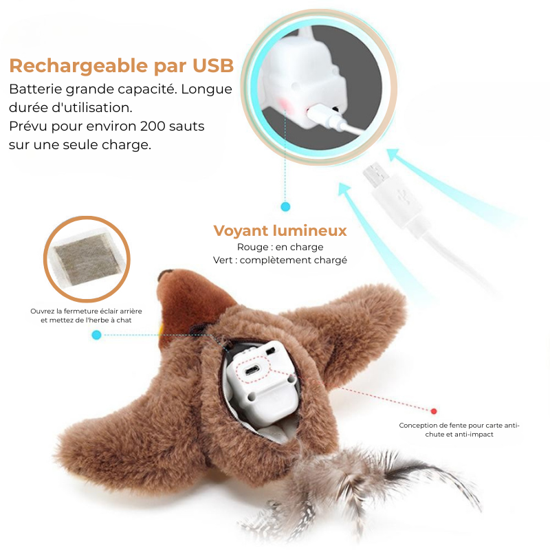 Jouet Interactif Peluche pour Chat