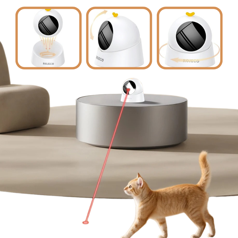 Jouet Laser Automatique Chat