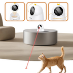 Jouet Laser Automatique Chat