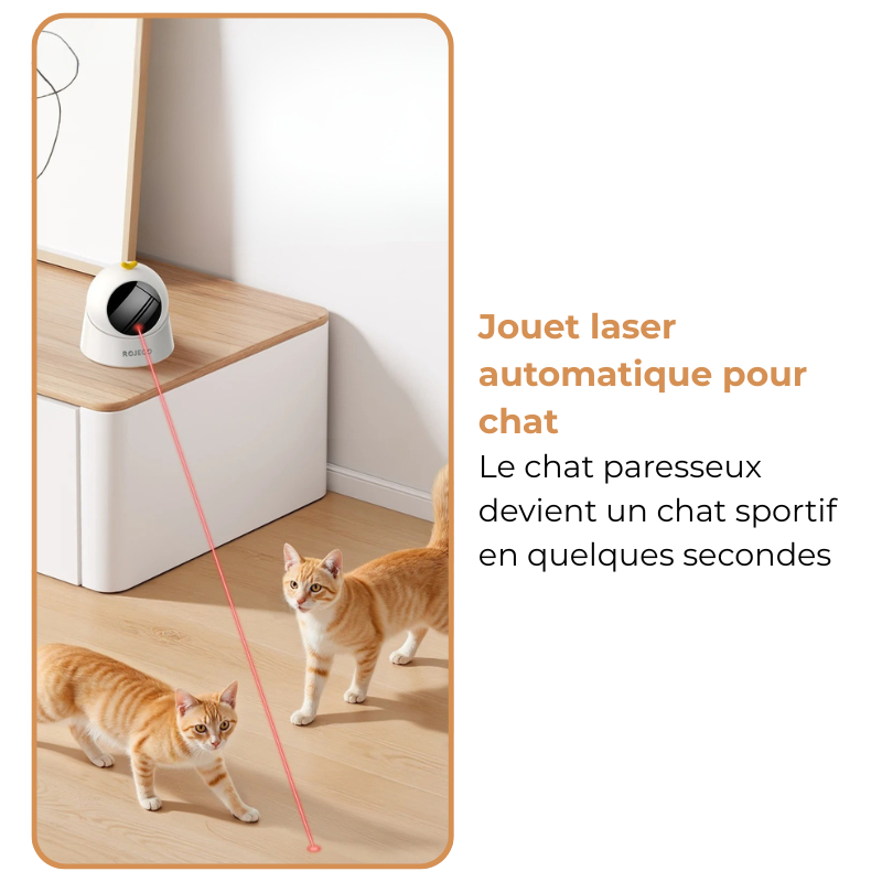 Jouet Laser Automatique Chat