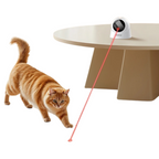 Jouet Laser Automatique Chat