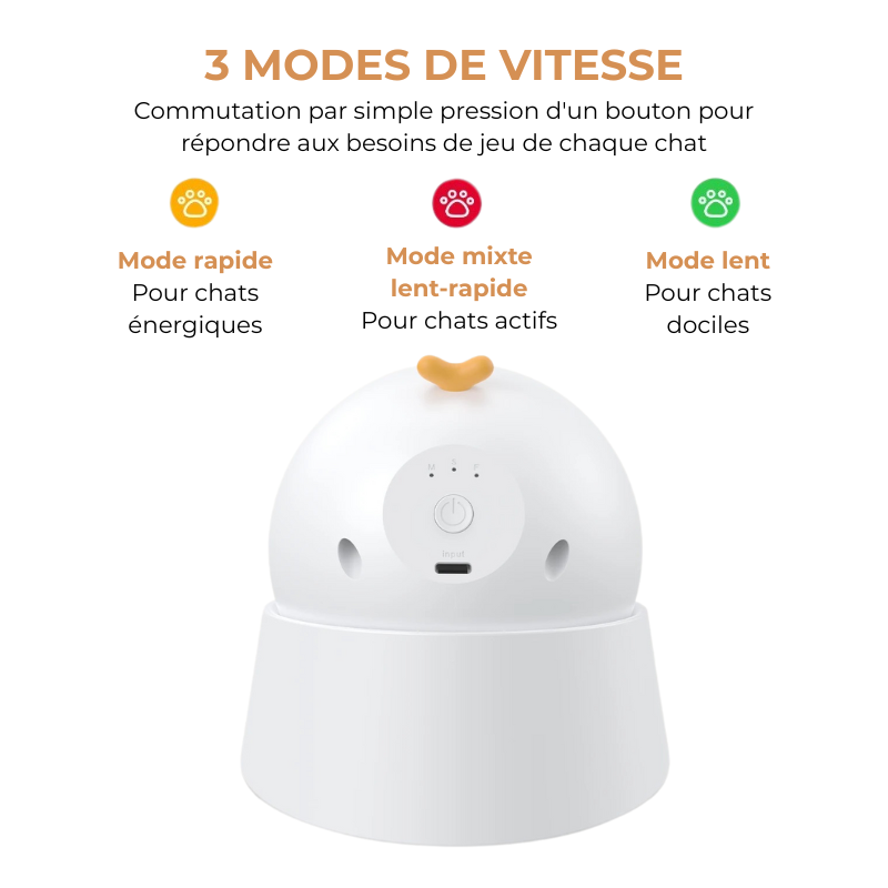 Jouet Laser Automatique Chat