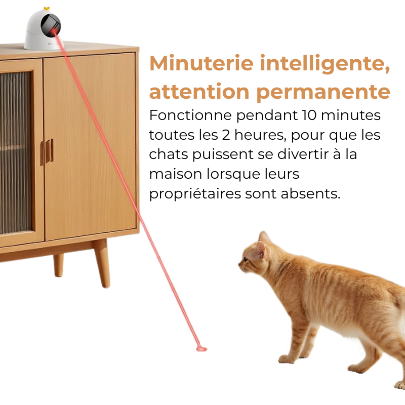 Jouet Laser Automatique Chat
